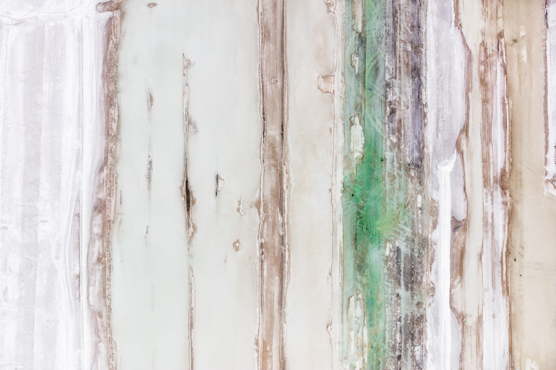 GreenLine_