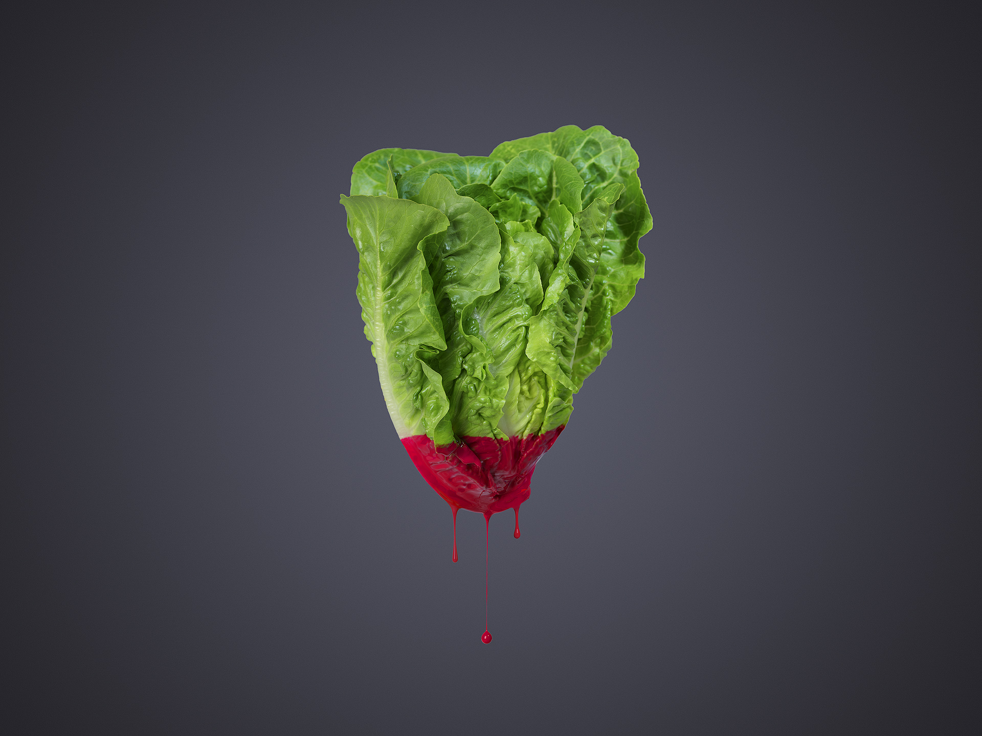 Lettuce