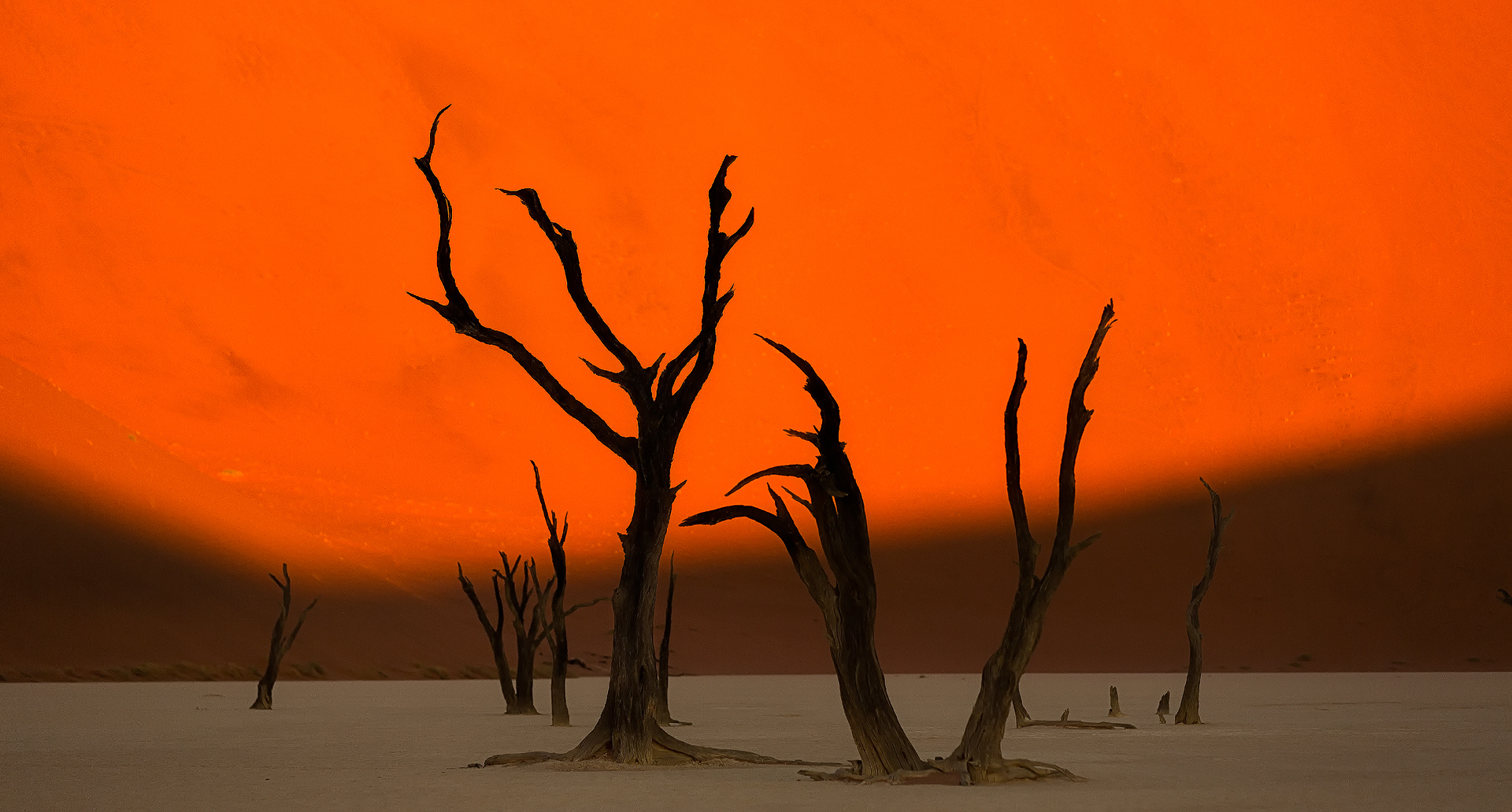 Andrei Duman Sossusvlei, Namibia Deadvlei Tree 01)