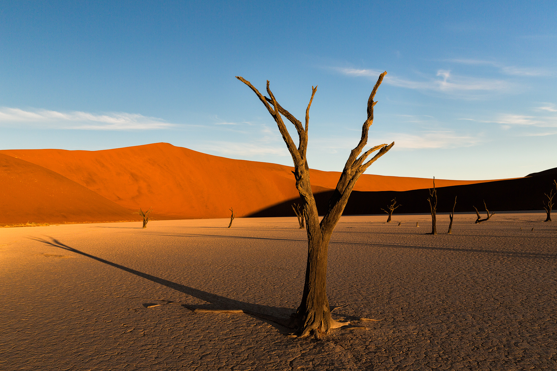 Andrei Duman Sossusvlei, Namibia Deadvlei Tree 07