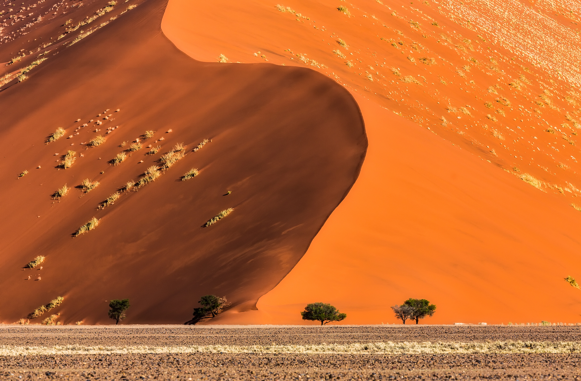 Andrei Duman Sossusvlei, Namibia Sand Dune 02